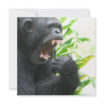 Chimpanzee Fangs Invitations