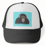 Chimpanzee hats