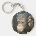 Chimpanzee keychain
