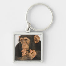 Chimpanzee (Pan troglodytes). Young playfull 2 Keychain