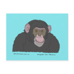 Chimpanzee postcards