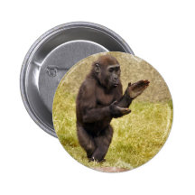 Chimpanzee Round Button