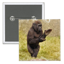 Chimpanzee Square Pin