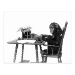 Chimpanzee typing postcard