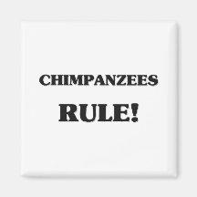 Chimpanzees Rule Fridge Magnets
