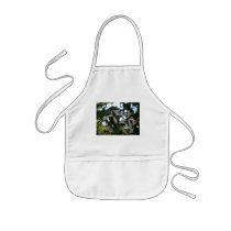 China Berry Flowers Aprons