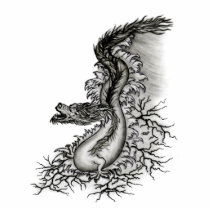 China-Drache - Magnet Photoausschnitte