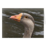 China Goose Greeting Card