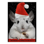 Chinchilla Christmas Card