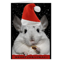 Chinchilla Christmas Card