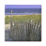 Chincoteague National Wildlife Refuge Fridge Magnet