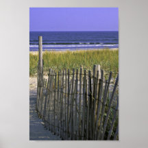 Chincoteague National Wildlife Refuge Print