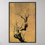 Chinese Cherry Blossoms posters