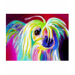 Chinese Crested #2 t-shirts