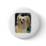 Chinese Crested 9W016D-149 buttons