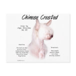 Chinese Crested (hairless) History Design postcards