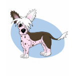 Chinese Crested Ladies Twofer Shirt