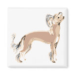 Chinese Crested magnets