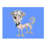 Chinese Crested Post Card