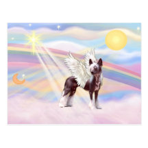 Chinese Crested Postcards
