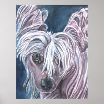 Chinese Crested Print Poster