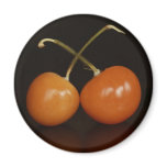 Chinese Lantern Magnet