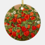 Chinese Lantern Plant Christmas Tree Ornaments