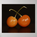 Chinese Lantern Print