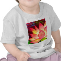 Chinese Lotus Water Lily Flower Art - Multi