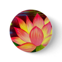 Chinese Lotus Water Lily Flower Art - Multi