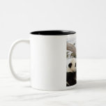 Chinese Love Pandas Coffee Mug