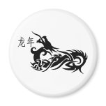 Chinese New Year Dragon 2012 magnets