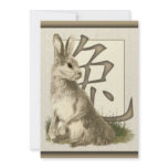 Chinese New Year Rabbit 2011 Party Invitations