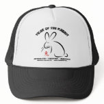 Chinese New Year Rabbit
