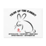 Chinese New Year Rabbit