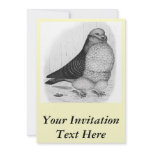 Chinese Owl Ink Drawing Invitation
