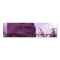 Chinese Proverb Bumper Sticker bumper stickers
