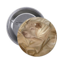 Chinese Shar Pei Camouflaged in Wrinkles Pinback Buttons