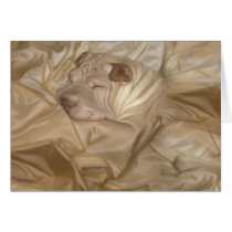 Chinese Shar Pei Camouflaged in Wrinkles Greeting Cards