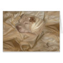 Chinese Shar Pei Camouflaged in Wrinkles cards