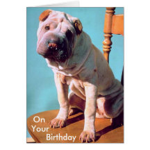 Chinese Shar-Pei Card