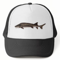 Chinese Sturgeon hat