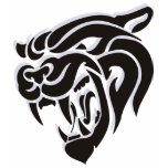 Chinese Tiger t-shirts