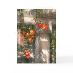 Chinese Trumpet Creeper cards