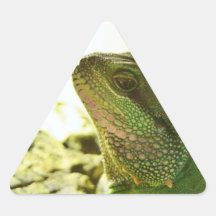 Chinese Water Dragon Sticker