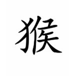 Chinese Zodiac - Monkey t-shirts