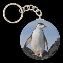 Chinnie Keyring keychains