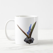 Chionodoxa flower ~ Mug