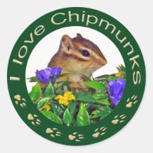 Chipmunk_ Circle_20 シール