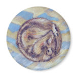 Chipmunk Dreams magnets